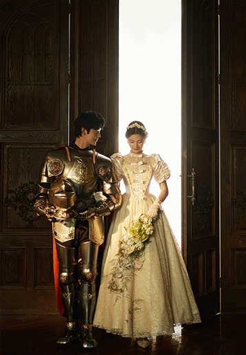 《骑士与公主》