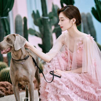 客片大赏｜你是我慢慢余生里义无反顾的梦想